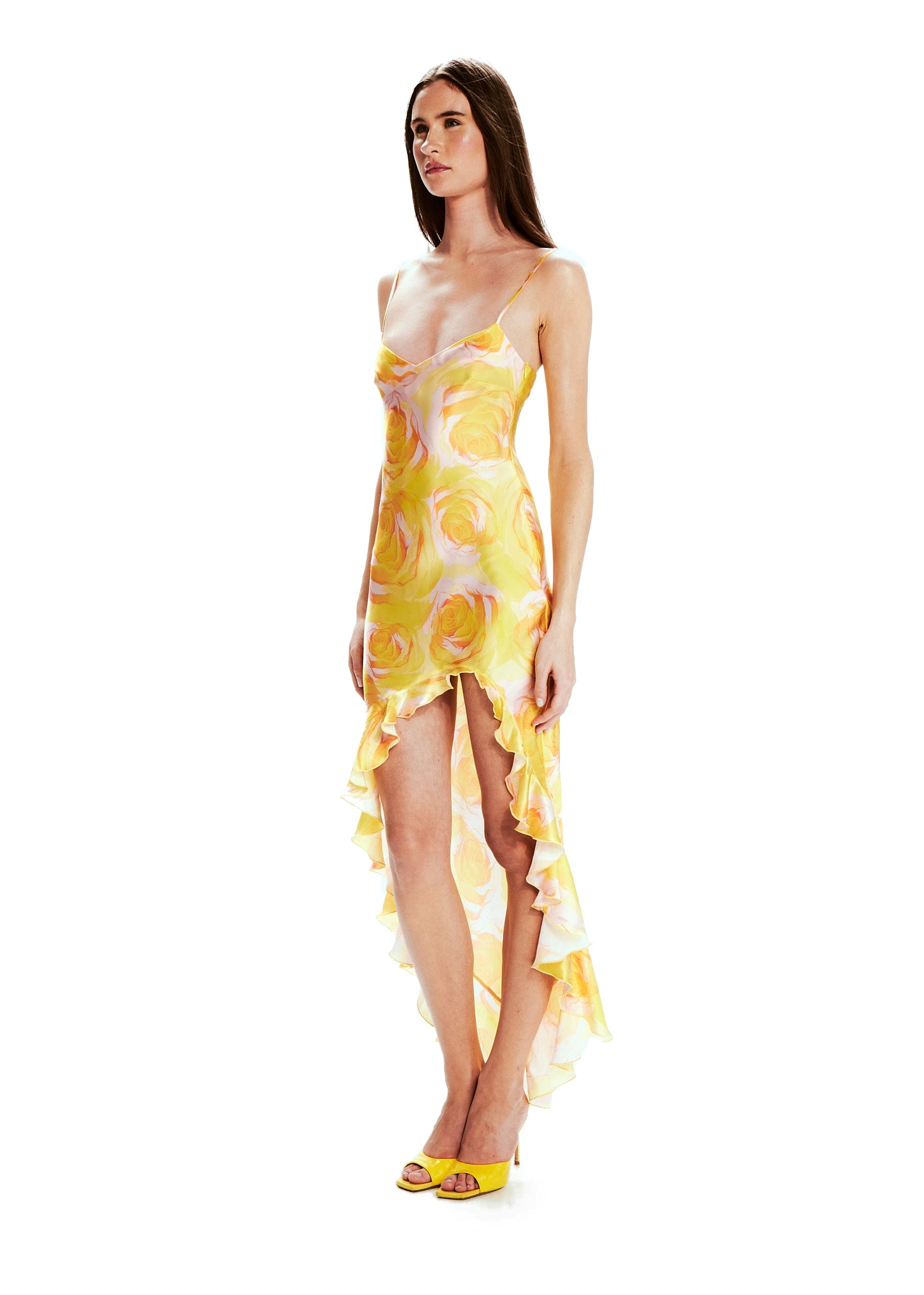 Valentina Wild Roses